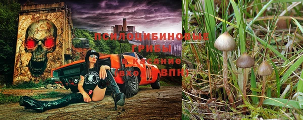 наркотики Приозерск