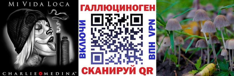 Псилоцибиновые грибы мухоморы  Пучеж 